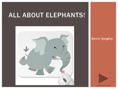 Devin Quigley ALL ABOUT ELEPHANTS!.  Grade level: Kindergarten  Subject: Science  Summary: The purpose of this PowerPoint is to teach children the.