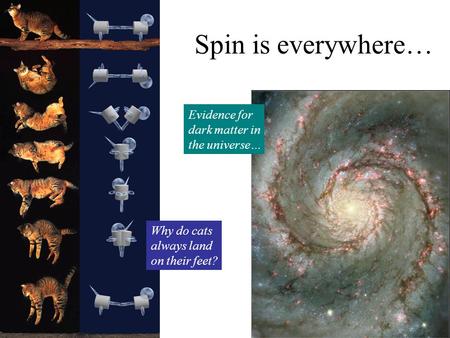 Spin is everywhere… Why do cats always land on their feet? Evidence for dark matter in the universe…