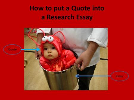 How to put a Quote into a Research Essay Quote Essay.