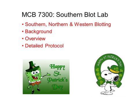 MCB 7300: Southern Blot Lab Southern, Northern & Western Blotting Background Overview Detailed Protocol.