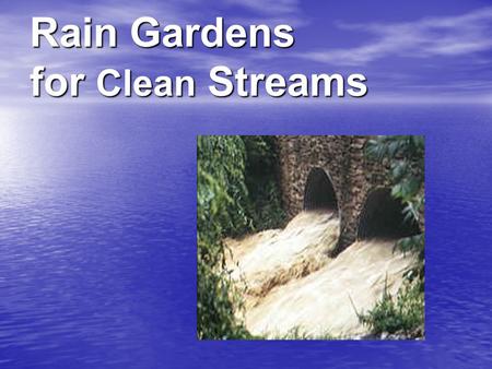 Rain Gardens for Clean Streams. Did you know? Up to 70% of pollution in streams, rivers and lakes comes from storm water runoff. rivers and lakes comes.