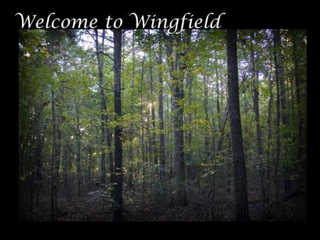 Welcome to Wingfield. …a new vision for Lake Murray living Wingfield.
