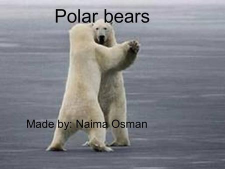 Polar Bears Made by: Naima Osman Polar bears Made by: Naima Osman.