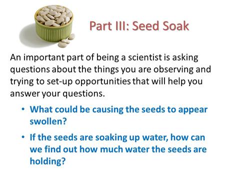 Part III: Seed Soak An important part of being a scientist is asking questions about the things you are observing and trying to set-up opportunities that.