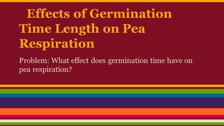 Effects of Germination Time Length on Pea Respiration