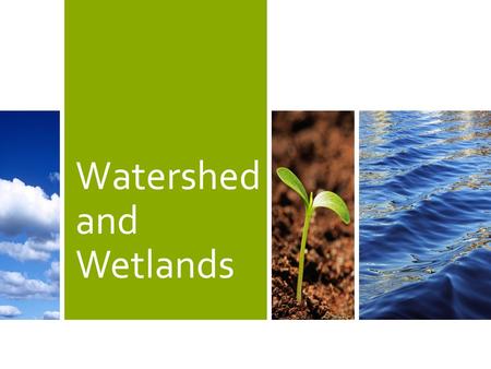 Watershed and Wetlands. It is large area of land in which all the water or snowmelt drains to a single stream, river or lake. Watershed.