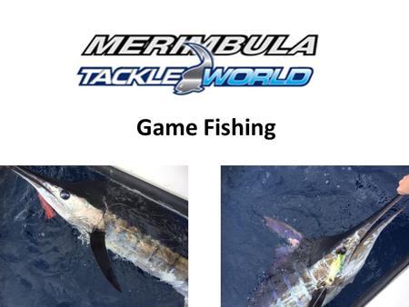 Game Fishing. Contents Marlin Yellowfin Tuna Bluefin Tuna Sharks.