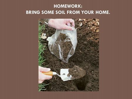 BRING SOME SOIL FROM YOUR HOME.