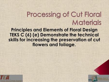 Determine the importance of processing cut flowers. Identify steps in processing cut flowers. Create a role play demonstrating the steps involved in.