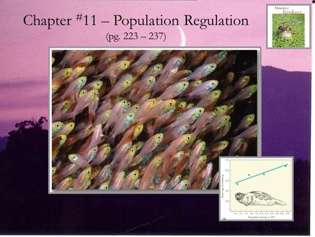 Chapter # 11 – Population Regulation (pg. 223 – 237)