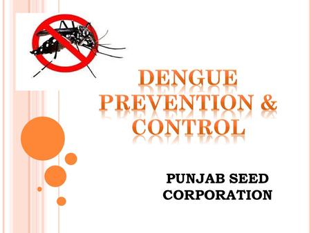 PUNJAB SEED CORPORATION. What is dengue fever? Dengue Fever is an illness caused by infection with a virus transmitted by the Aedes mosquito.