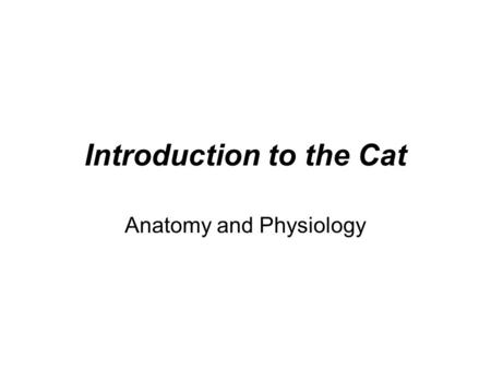 Introduction to the Cat