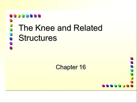 The Knee and Related Structures Chapter 16 Vocabulary n Anterior Cruciate Lig. n Bursa n chondromalacia n Hemarthrosis n Joint capsule n Joint mice n.