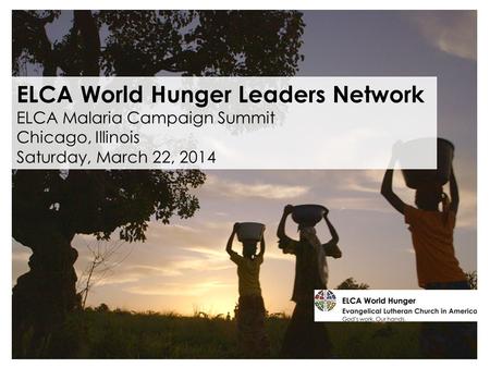 ELCA World Hunger Leaders Network ELCA Malaria Campaign Summit Chicago, Illinois Saturday, March 22, 2014.