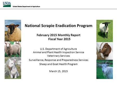 National Scrapie Eradication April 2014 Monthly Report National Scrapie Eradication Program February 2015 Monthly Report Fiscal Year 2015 U.S. Department.