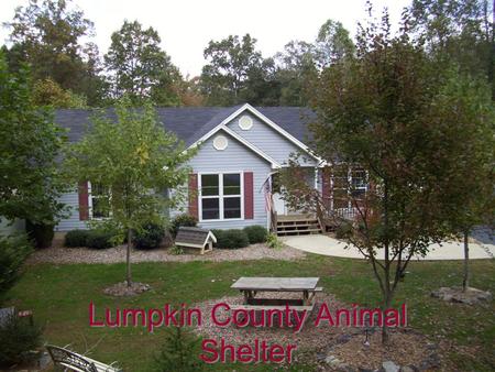 Lumpkin County Animal Shelter. Shelter Staff Full Time ManagerEddy Harris Admin / MaintenanceWayne Marshall Animal Care Tech Sharron Davis Part Time Animal.