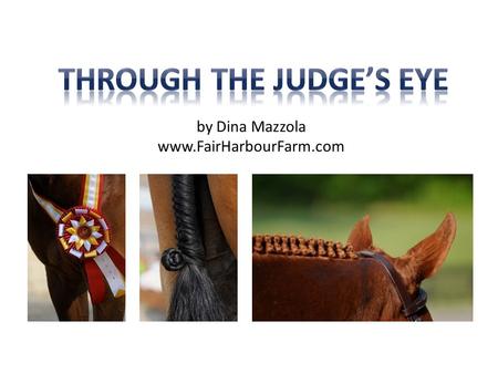 By Dina Mazzola www.FairHarbourFarm.com. So what is a show ring hunter? What’s the difference between hunters and equitation? From the USEF Rule Book: