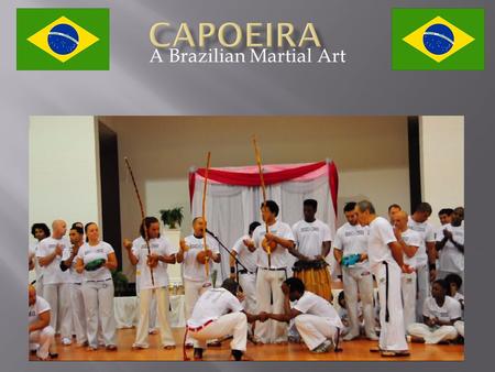A Brazilian Martial Art.  Brazil is the largest country in South America  Brazil’s landscape is very diverse  Amazon Rain Forest  Grasslands  Wetlands.