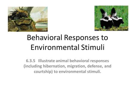 Behavioral Responses to Environmental Stimuli
