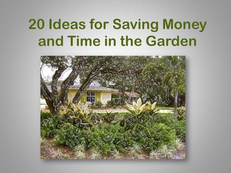 20 Ideas for Saving Money and Time in the Garden.