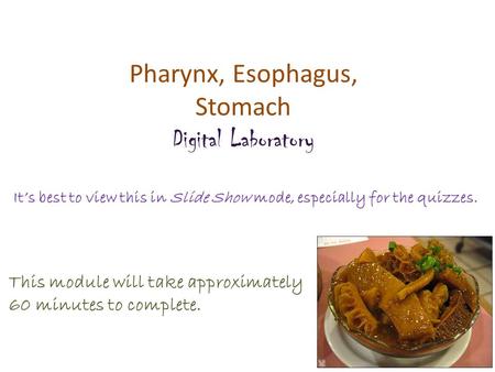 Pharynx, Esophagus, Stomach Digital Laboratory It’s best to view this in Slide Show mode, especially for the quizzes. This module will take approximately.