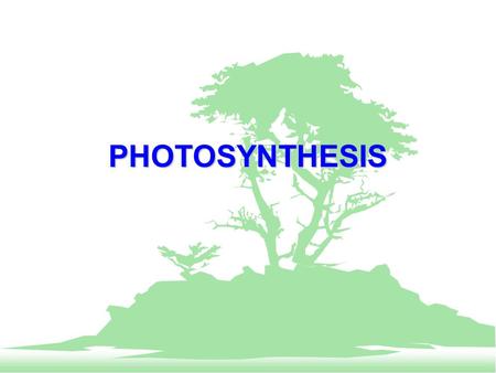PHOTOSYNTHESIS. EngageEssential QuestionExplain Engage F List 10 things that you used today that depend upon photosynthesis. F Think hard and record.