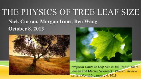 THE PHYSICS OF TREE LEAF SIZE Nick Curran, Morgan Irons, Ben Wang October 8, 2013 “Physical Limits to Leaf Size in Tall Trees”. Kaare Jensen and Maciej.