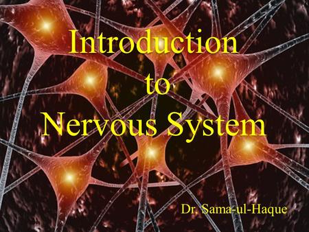 Introduction to Nervous System Dr. Sama-ul-Haque.
