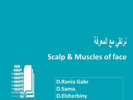 Scalp & Muscles of face D.Rania Gabr D.Sama. D.Elsherbiny.