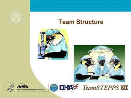 Team Structure NEXT:. T EAM STEPPS 05.2 Mod 2 2.0 Page 2 Team Structure 2 Objectives Discuss benefits of teamwork and team structure Define a “team” Identify.