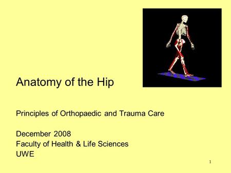 1 Anatomy of the Hip Principles of Orthopaedic and Trauma Care December 2008 Faculty of Health & Life Sciences UWE.