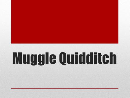 Muggle Quidditch.