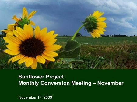 November 17, 2009 Sunflower Project Monthly Conversion Meeting – November.