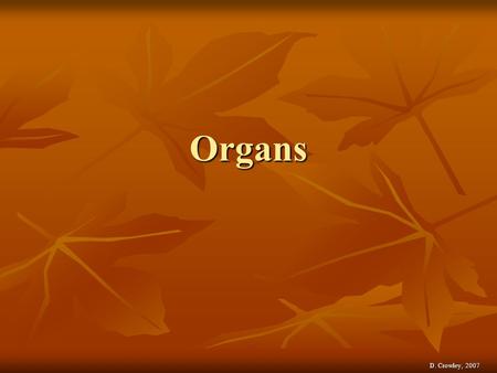 Organs D. Crowley, 2007.
