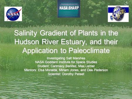 Salinity Gradient of Plants in the Hudson River Estuary, and their Application to Paleoclimate Investigating Salt Marshes NASA Goddard Institute for Space.