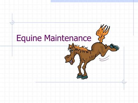 Equine Maintenance. Grooming Timing: Daily grooming may be required for show horses, boarding horses and horses used in a business. All horse should receive.