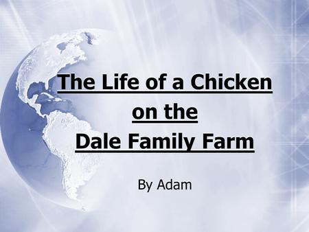 The Life of a Chicken on the Dale Family Farm By Adam The Life of a Chicken on the Dale Family Farm By Adam.