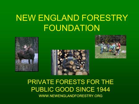 NEW ENGLAND FORESTRY FOUNDATION PRIVATE FORESTS FOR THE PUBLIC GOOD SINCE 1944 WWW.NEWENGLANDFORESTRY.ORG.