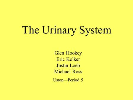 The Urinary System Glen Hookey Eric Kolker Justin Loeb Michael Ross Uston—Period 5.
