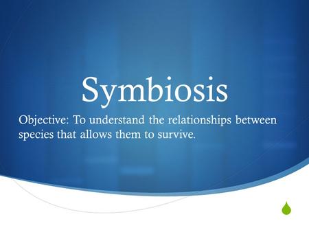  Symbiosis Objective: To understand the relationships between species that allows them to survive.