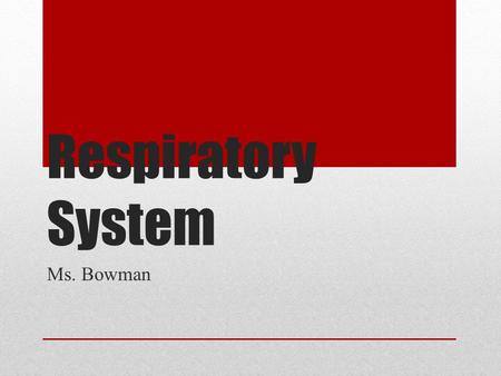 Respiratory System Ms. Bowman. Functions Supply the body with oxygen Dispose of carbon dioxide.