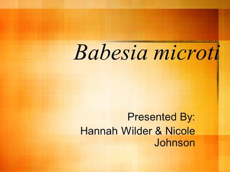 Babesia microti Presented By: Hannah Wilder & Nicole Johnson.
