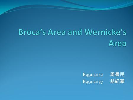 B9902022 周書民 B9902037 胡紀豪. Broca's area Pierre Broca reported impairments in a small region of the left frontal lobe of patients who had lost the ability.
