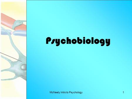 McNeely Intro to Psychology1 Psychobiology. McNeely Intro to Psychology2 What in the world is this? The study of how behavior is influenced by our biological.