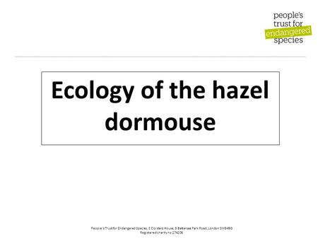 People’s Trust for Endangered Species, 3 Cloisters House, 8 Battersea Park Road, London SW84BG Registered charity no 274206 Ecology of the hazel dormouse.