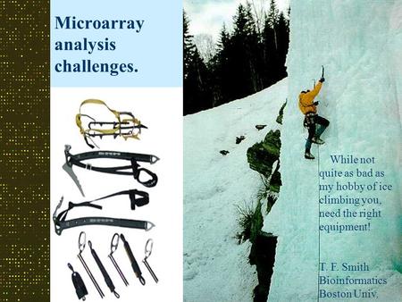 Microarray analysis challenges. While not quite as bad as my hobby of ice climbing you, need the right equipment! T. F. Smith Bioinformatics Boston Univ.