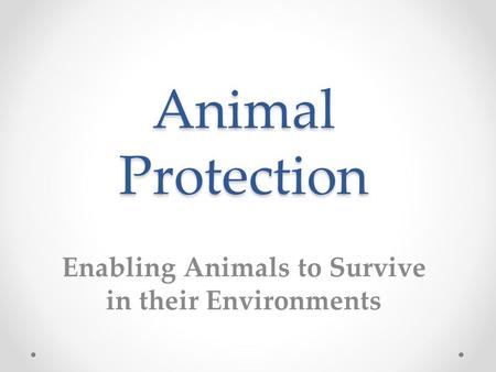 Animal Protection Enabling Animals to Survive in their Environments.