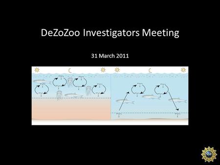 DeZoZoo Investigators Meeting 31 March 2011. WHAT THE HELL ARE WE DOING HERE? -”CREEP”, RADIOHEAD 1992 Introduction.