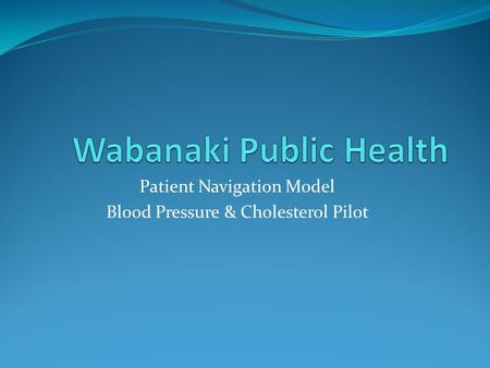 Patient Navigation Model Blood Pressure & Cholesterol Pilot.