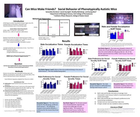 Can Mice Make Friends? Social Behavior of Phenotypically Autistic Mice Samantha Giordano a, Sarah Guariglia b, Bradley Rehnberg a, and Guang Wen b a Department.